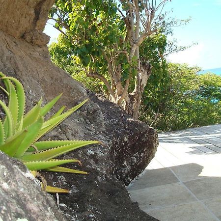 Treehouse Cottage Five Islands Village Bagian luar foto