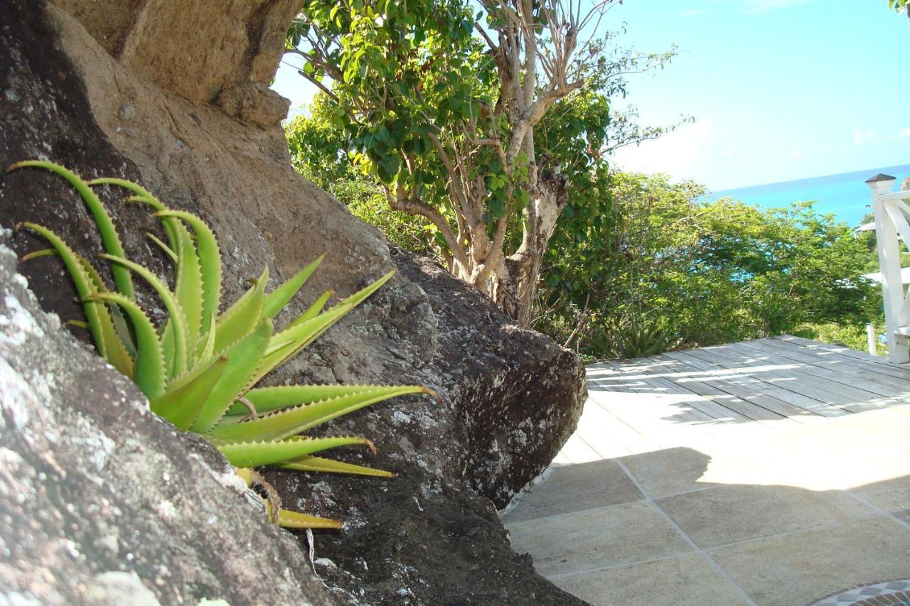 Treehouse Cottage Five Islands Village Bagian luar foto